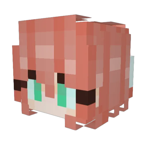 Whynotreally Minecraft avatar head, 3D render