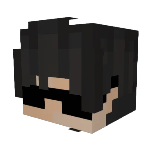 Whyt7 Minecraft avatar head, 3D render