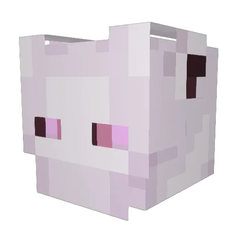Whyter8 Minecraft avatar head, 3D render