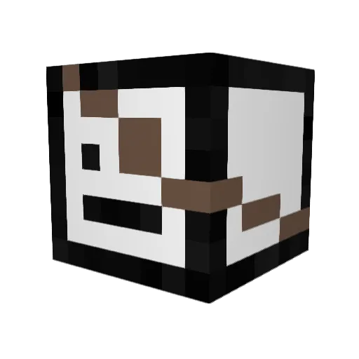 WhywouldI25 Minecraft avatar head, 3D render