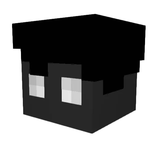 Wi11power8 Minecraft avatar head, 3D render