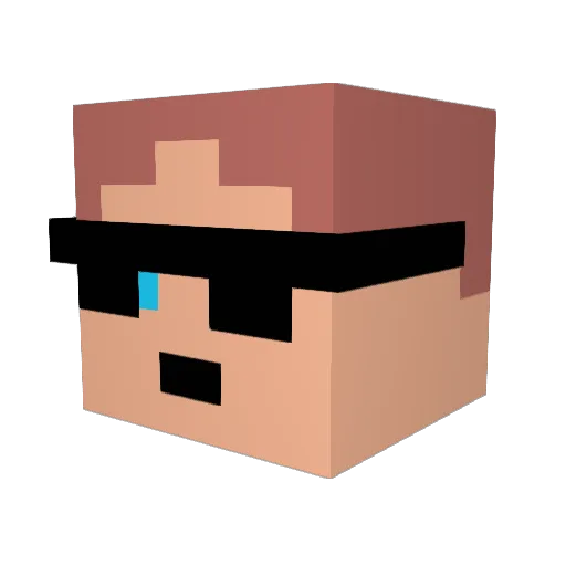 WiFi_Kabel Minecraft avatar head, 3D render