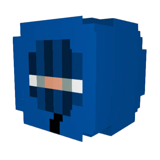 WiKiii2004 Minecraft avatar head, 3D render