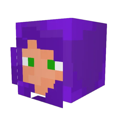WiNt3r03 Minecraft avatar head, 3D render
