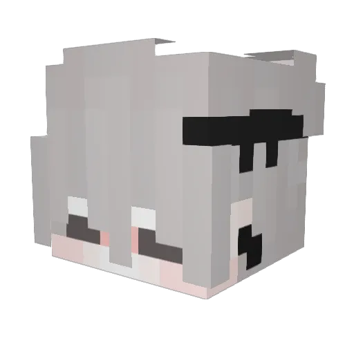 WiTaKoS Minecraft avatar head, 3D render