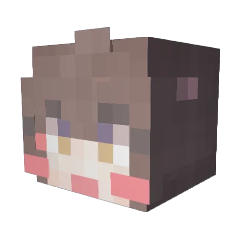 Wi_nni Minecraft avatar head, 3D render
