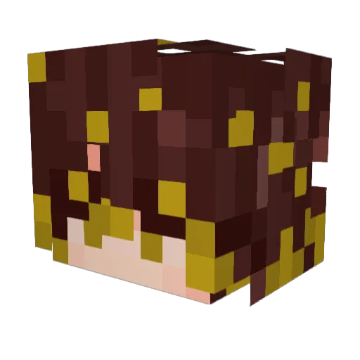 Wiambiam Minecraft avatar head, 3D render