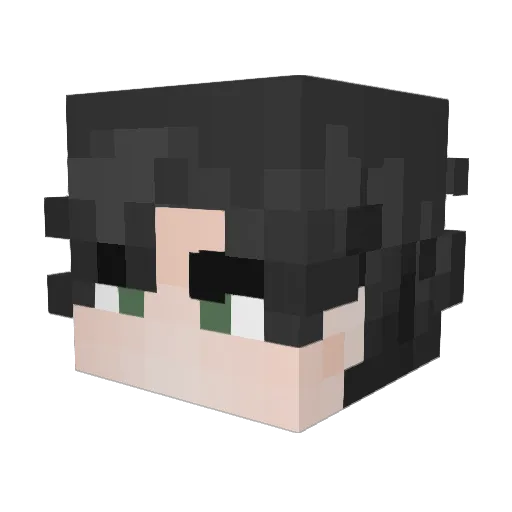 Wiammm Minecraft avatar head, 3D render