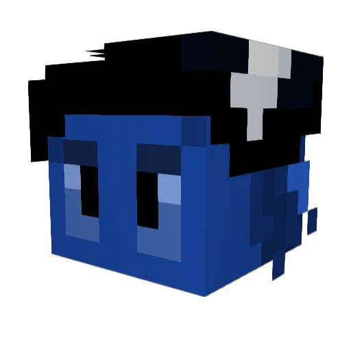 WibleWhale Minecraft avatar head, 3D render
