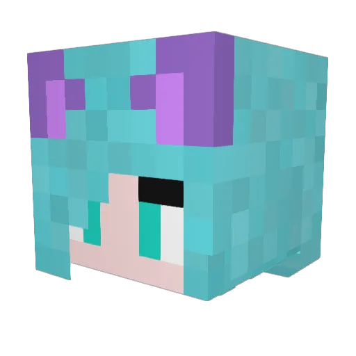 WiccanKitten99 Minecraft avatar head, 3D render