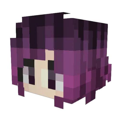 Wiccas5 Minecraft avatar head, 3D render