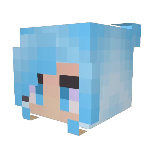 Wice_A_Roni Minecraft avatar head, 3D render