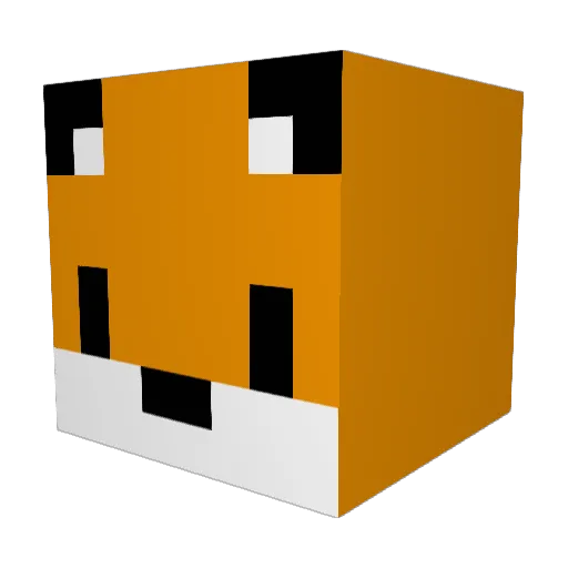 Wicho24 Minecraft avatar head, 3D render