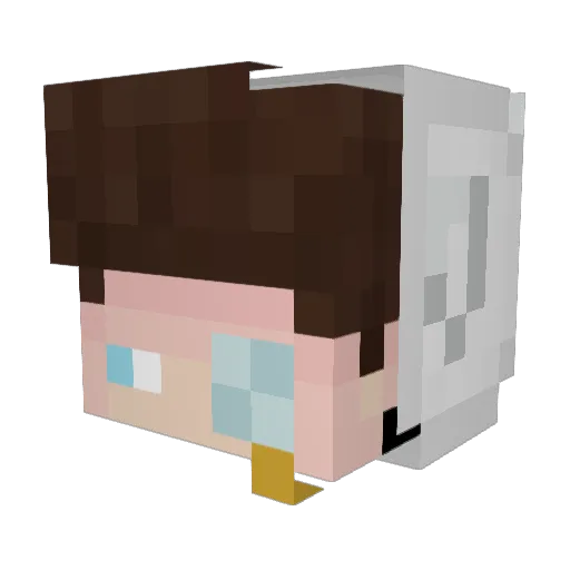 WichtigerRod Minecraft avatar head, 3D render
