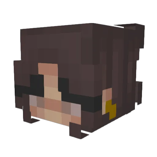 Wichu1996 Minecraft avatar head, 3D render