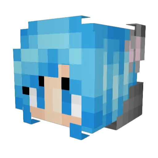Wichurra Minecraft avatar head, 3D render