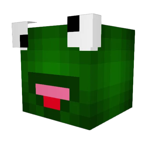 Wicked3020 Minecraft avatar head, 3D render