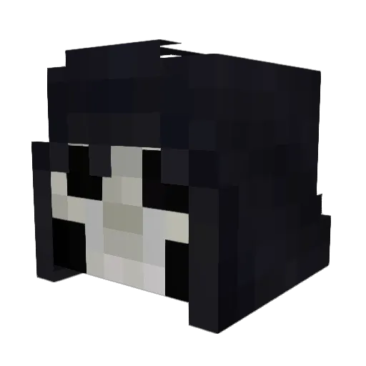 Wicked3131 Minecraft avatar head, 3D render