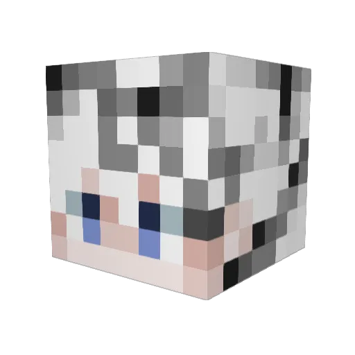 WickedBeast56 Minecraft avatar head, 3D render