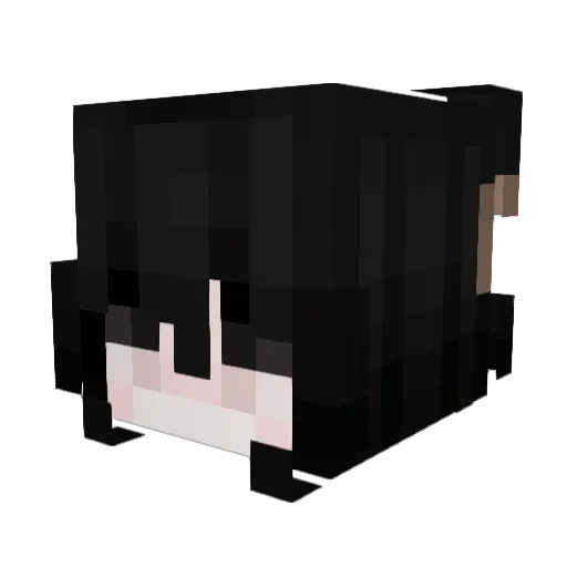WickedCool616 Minecraft avatar head, 3D render