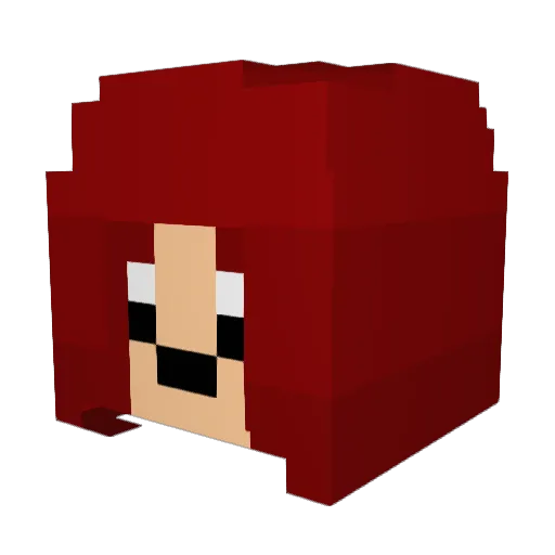 WickedD75 Minecraft avatar head, 3D render