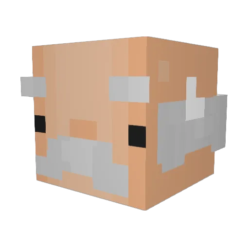 WickedJaguar Minecraft avatar head, 3D render