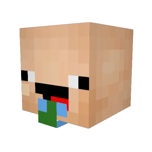 WickedWatermelon Minecraft avatar head, 3D render
