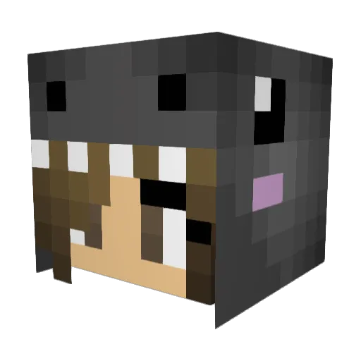 Wicked_Desperado Minecraft avatar head, 3D render