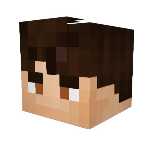 WickederNewt Minecraft avatar head, 3D render