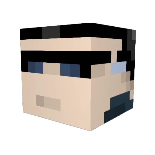 Wickert Minecraft avatar head, 3D render