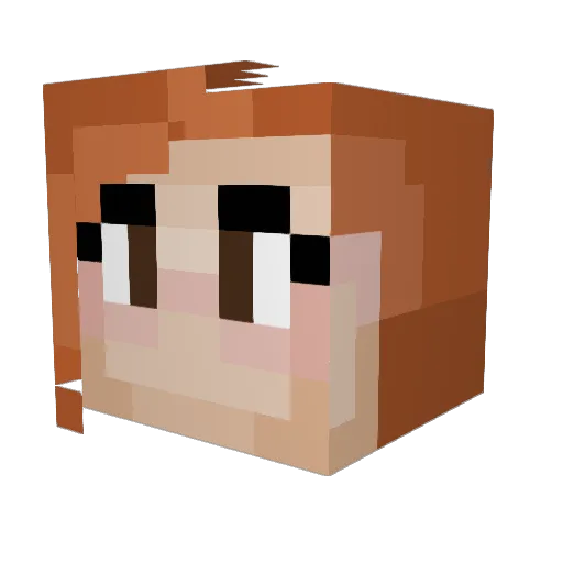 Wicklewooboos Minecraft avatar head, 3D render