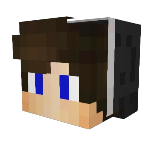 Wid_Volf Minecraft avatar head, 3D render