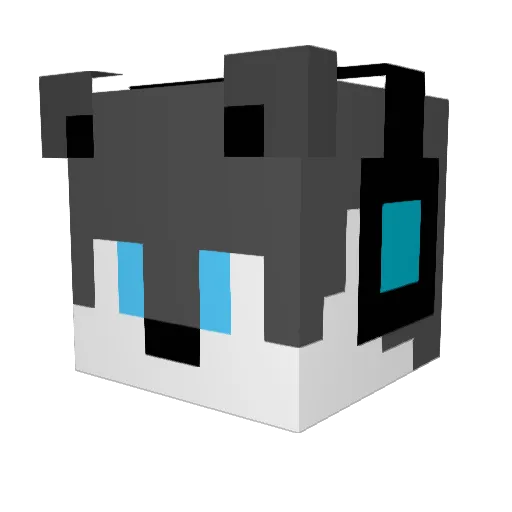 Widde12 Minecraft avatar head, 3D render
