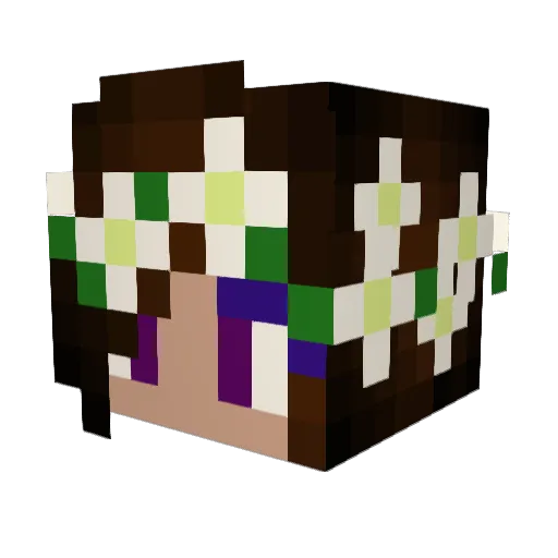 Widdershinss Minecraft avatar head, 3D render
