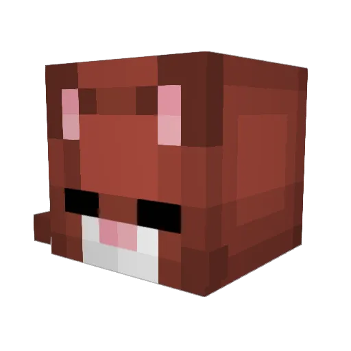 Wide_Cat Minecraft avatar head, 3D render
