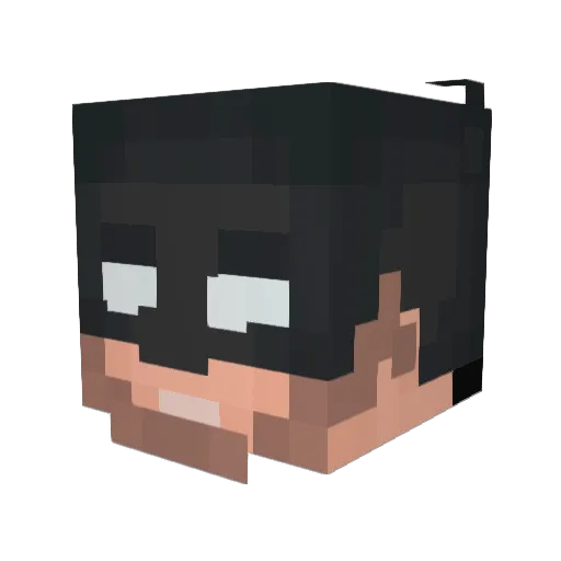 WiderDucky09027 Minecraft avatar head, 3D render