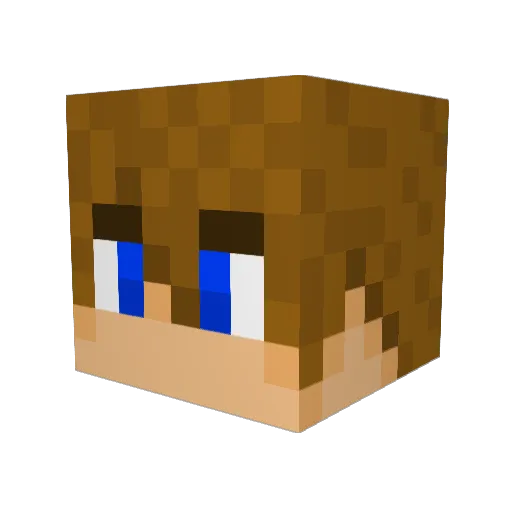 WiderThunder295 Minecraft avatar head, 3D render