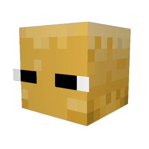 Wideshrub Minecraft avatar head, 3D render