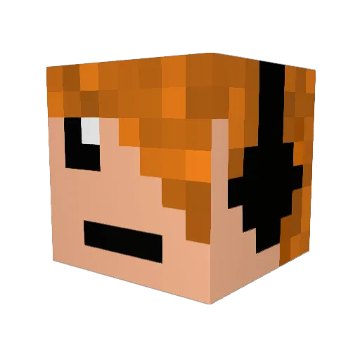 Widleykidz Minecraft avatar head, 3D render