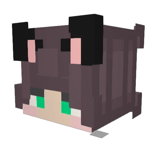 WidoZz Minecraft avatar head, 3D render