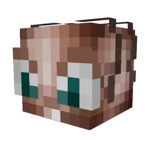 Wiebahh Minecraft avatar head, 3D render