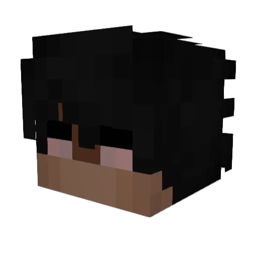 Wiekert Minecraft avatar head, 3D render