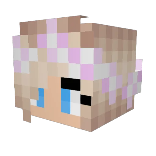 Wiekevvl Minecraft avatar head, 3D render