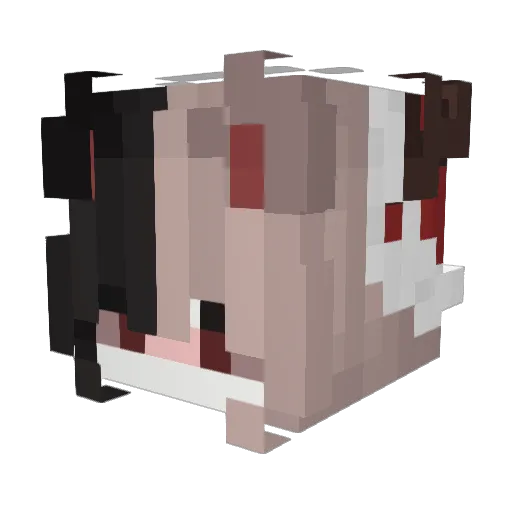 Wiemdog Minecraft avatar head, 3D render
