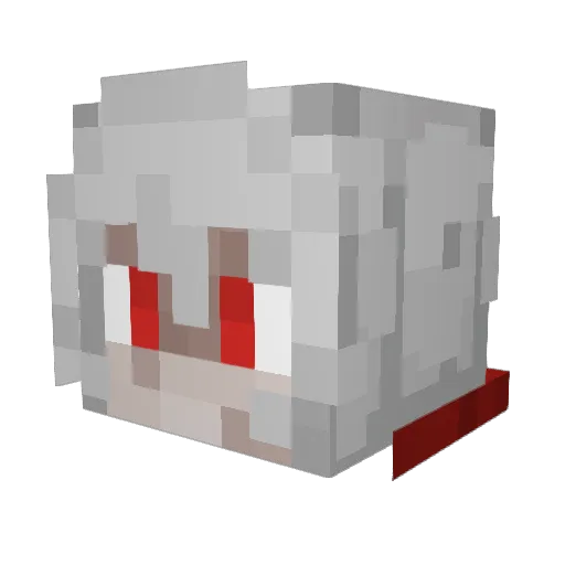 Wienor_consumor Minecraft avatar head, 3D render