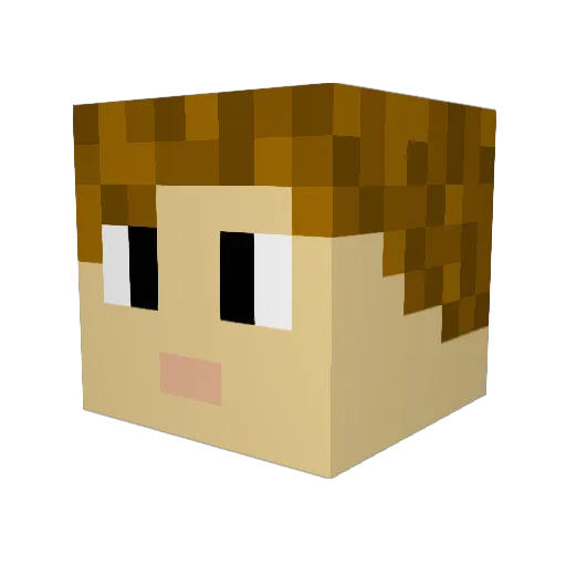 Wieprzos Minecraft avatar head, 3D render