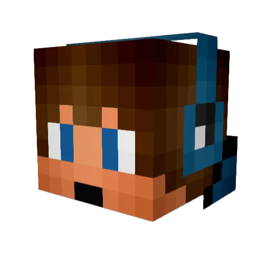 Wierd223 Minecraft avatar head, 3D render