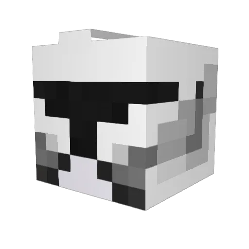 Wieselburger93 Minecraft avatar head, 3D render