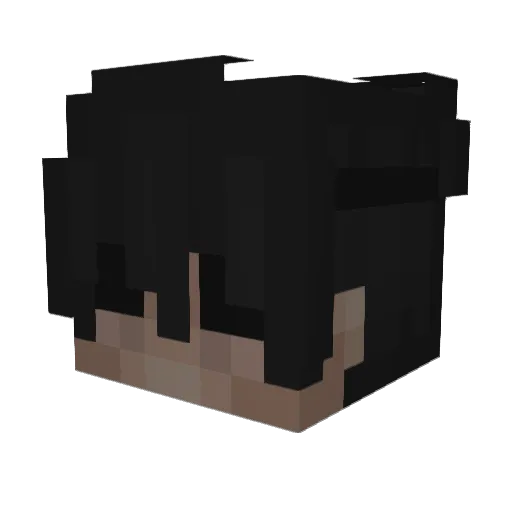 Wiesi_jr Minecraft avatar head, 3D render