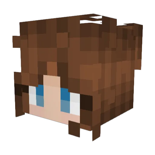 WifeOfShrek Minecraft avatar head, 3D render